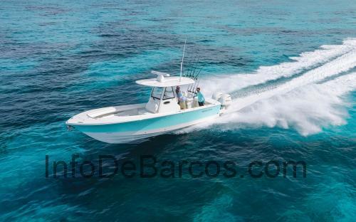 Regulator 28 Center Console ficha técnica y opiniones